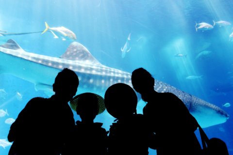 夏の家族旅行沖縄