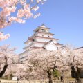 東北桜JRツアー